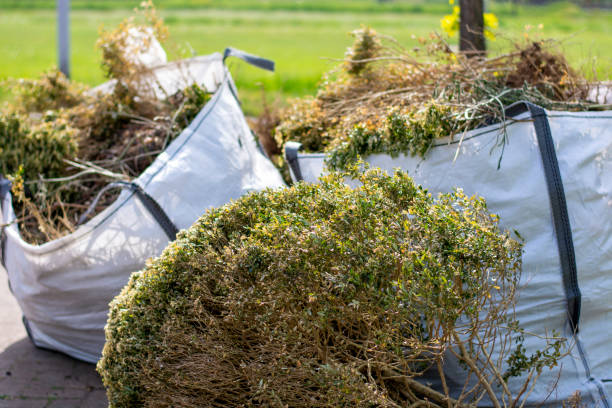 Best Appliance Removal Near Me  in Castle Dale, UT